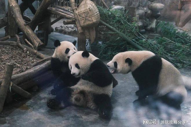 地图 四川景区保姆级出行手册!澳门新葡京网页四川省全省详细(图5) 地图 四川景区保姆级出行手册!澳门新葡京网页四川省全省详细(图5)